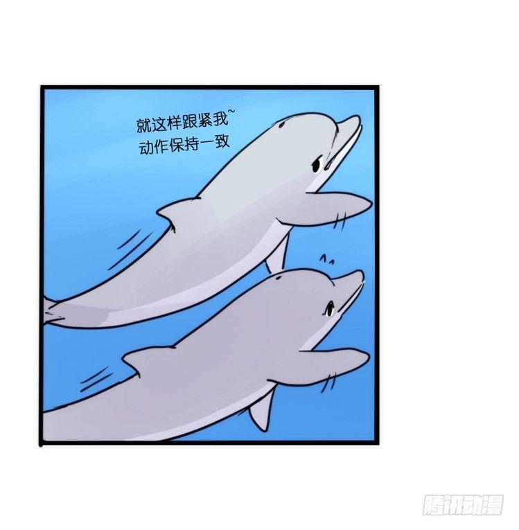 海洋精灵：豚会玩-第81话