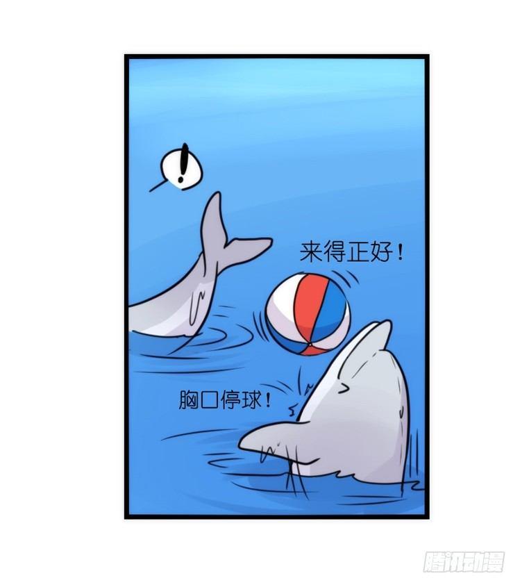 海洋精灵：豚会玩-第81话