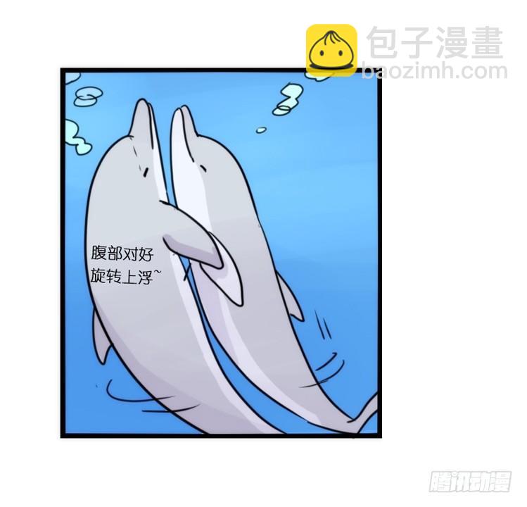 海洋精灵：豚会玩-第81话