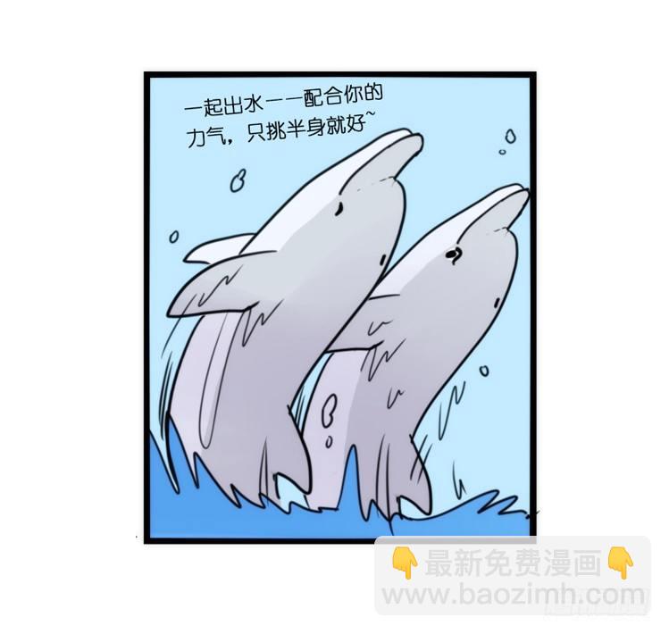 海洋精灵：豚会玩-第81话