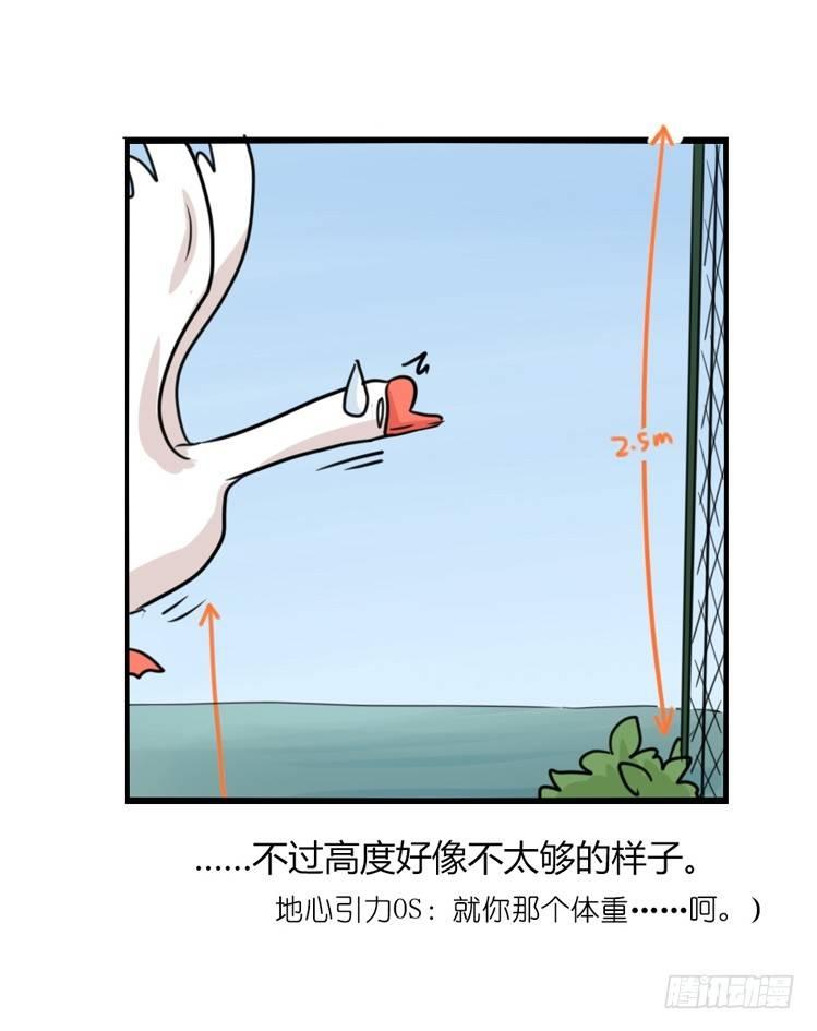 海洋精灵：豚会玩-第81话