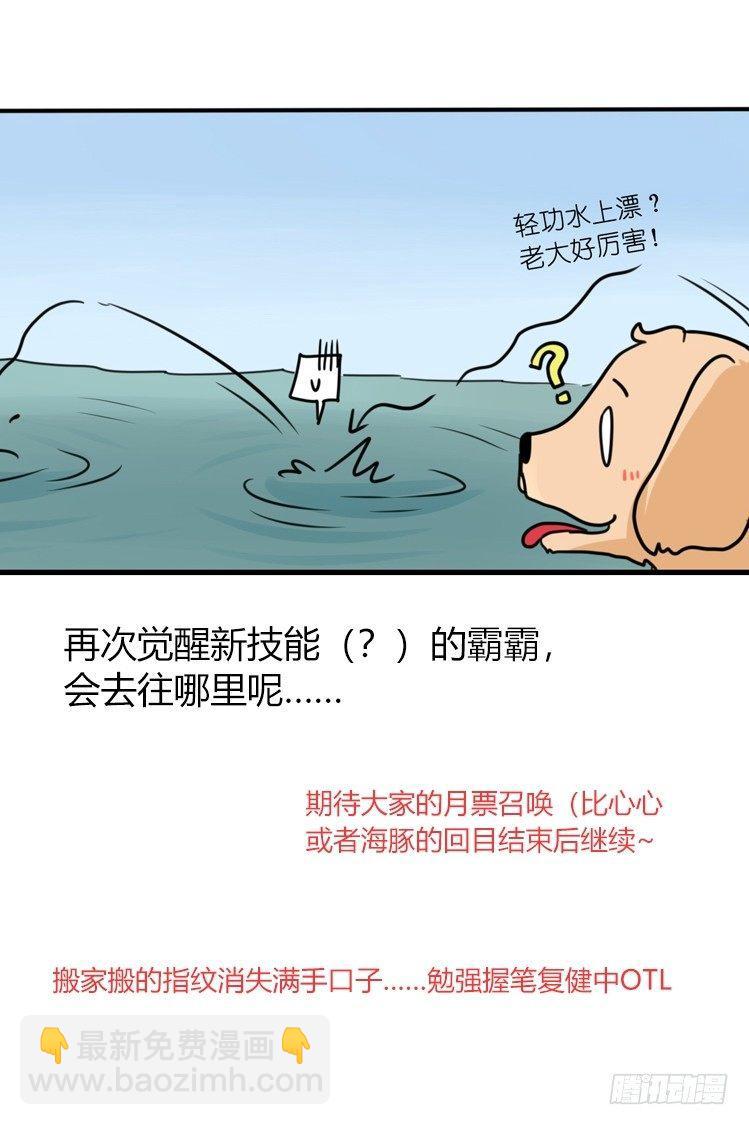 海洋精灵：豚会玩-第81话