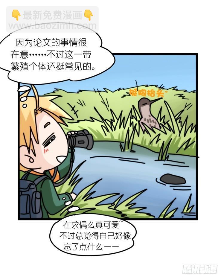 圣诞番外：特别礼物-第85话