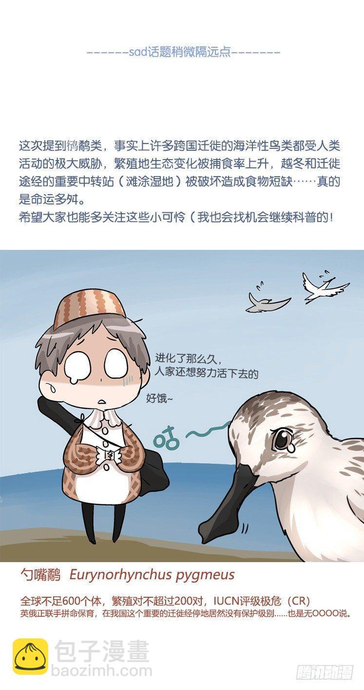 圣诞番外：特别礼物-第85话