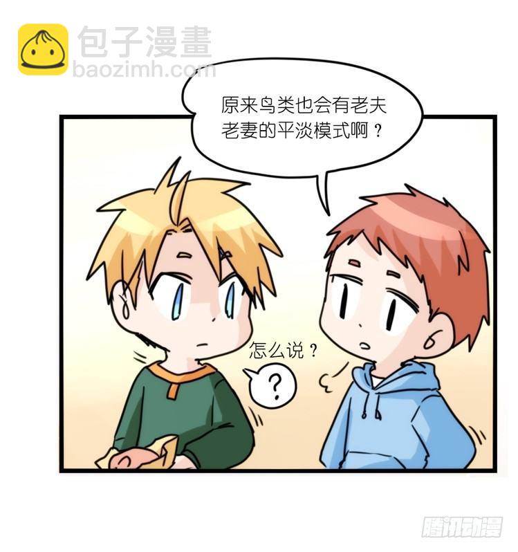 圣诞番外：特别礼物-第85话
