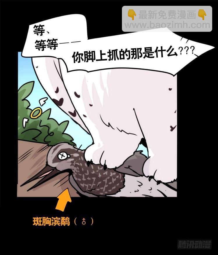 圣诞番外：特别礼物-第85话
