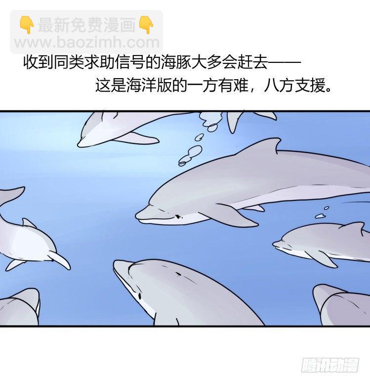 海洋精灵：大白鲨II-受害者是？-第89话
