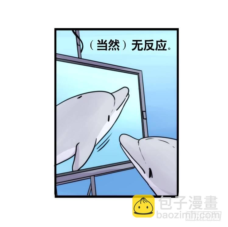 海洋精灵：大白鲨IV-教学？-第91话