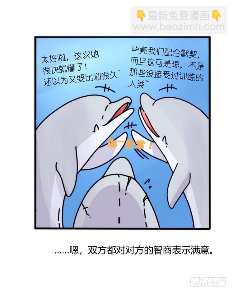 海洋精灵：大白鲨IV-教学？-第91话