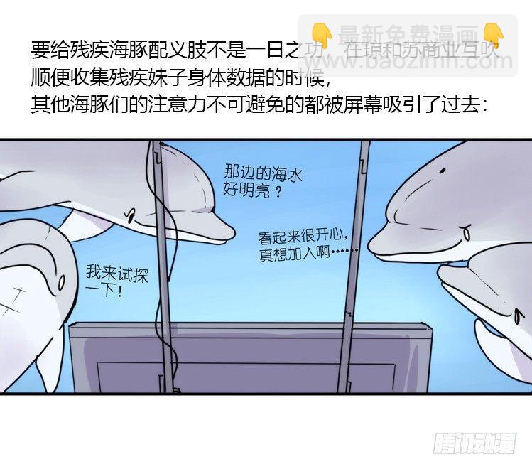 海洋精灵：大白鲨IV-教学？-第91话