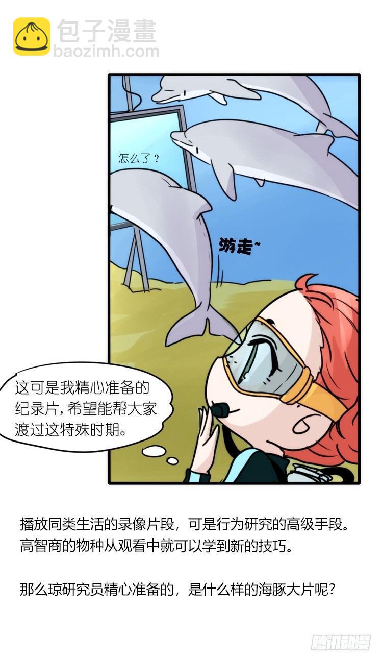 海洋精灵：大白鲨IV-教学？-第91话