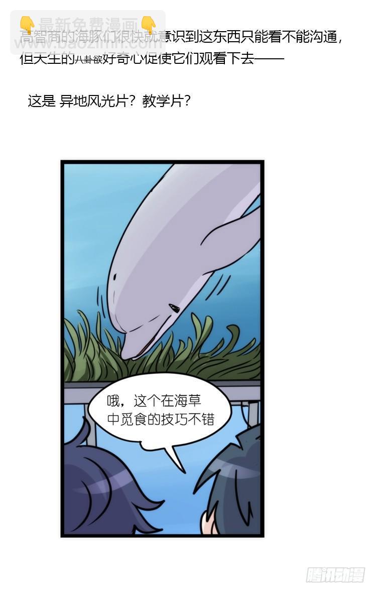 海洋精灵：大白鲨IV-教学？-第91话