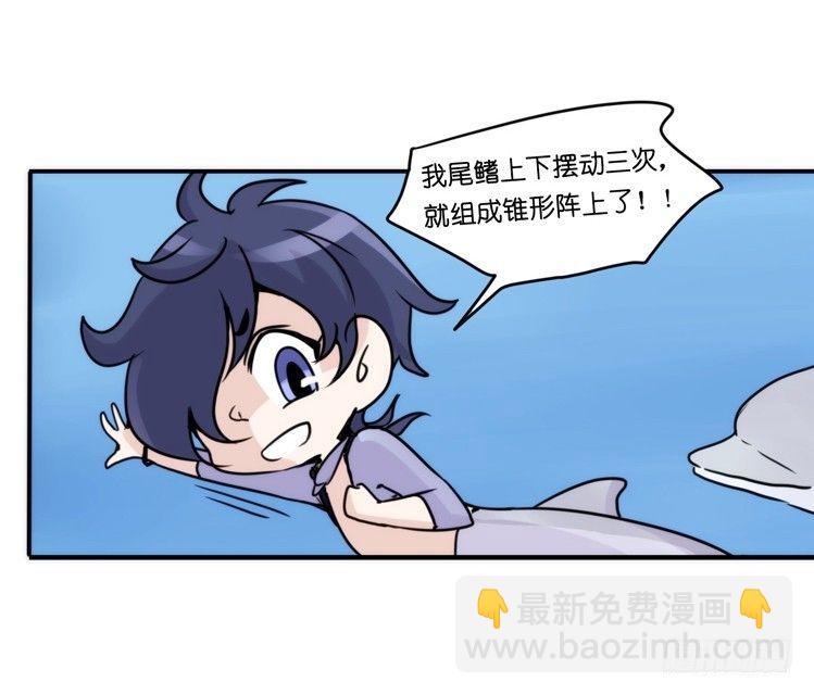 海洋精灵：大白鲨-反击战-下-第93话
