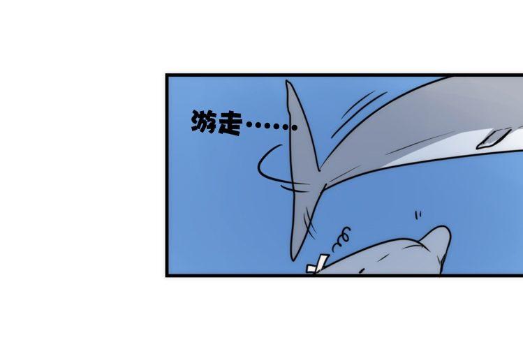 海洋精灵：大白鲨-反击战-下-第93话