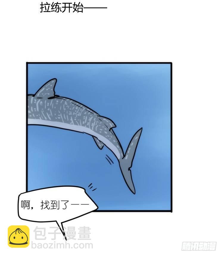 海洋精灵：大白鲨-反击战-下-第93话