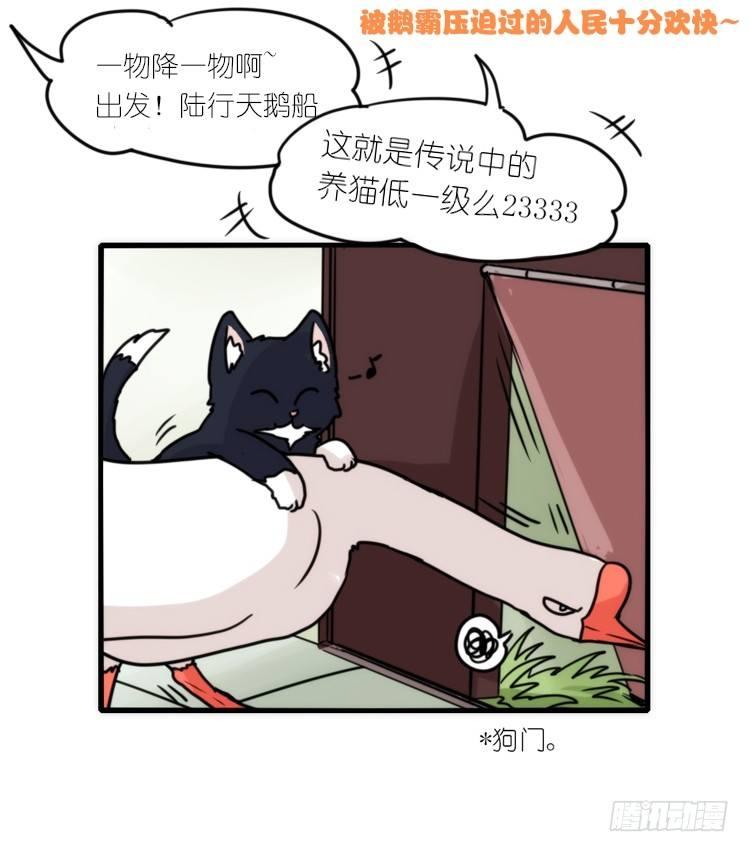 动协在行动02：鹅也有猫了！-第95话