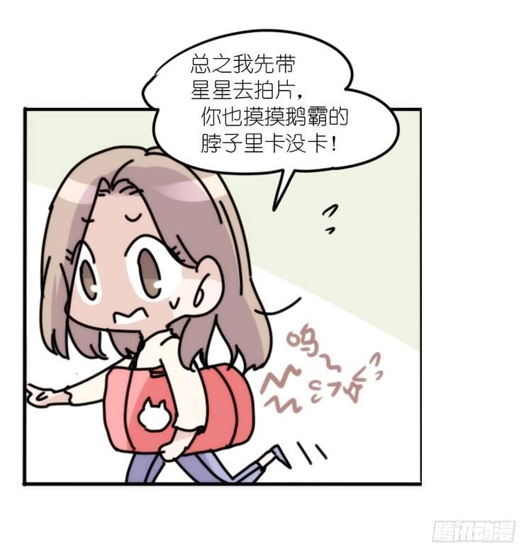 动协在行动02：鹅也有猫了！-第95话