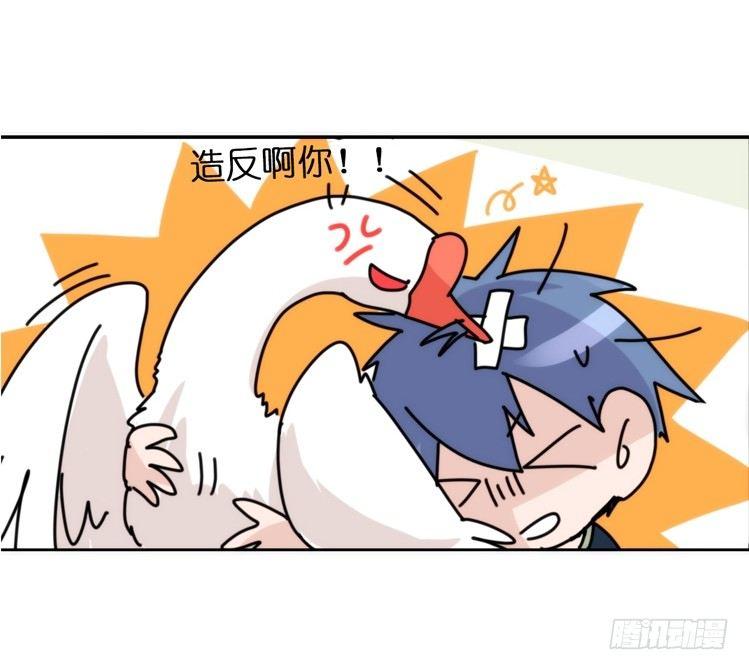 动协在行动02：鹅也有猫了！-第95话
