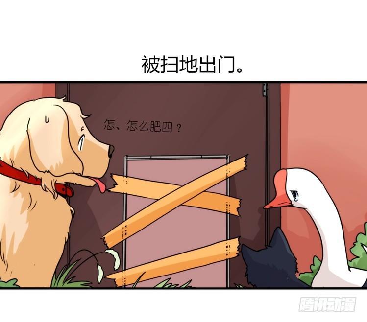 动协在行动02：鹅也有猫了！-第95话