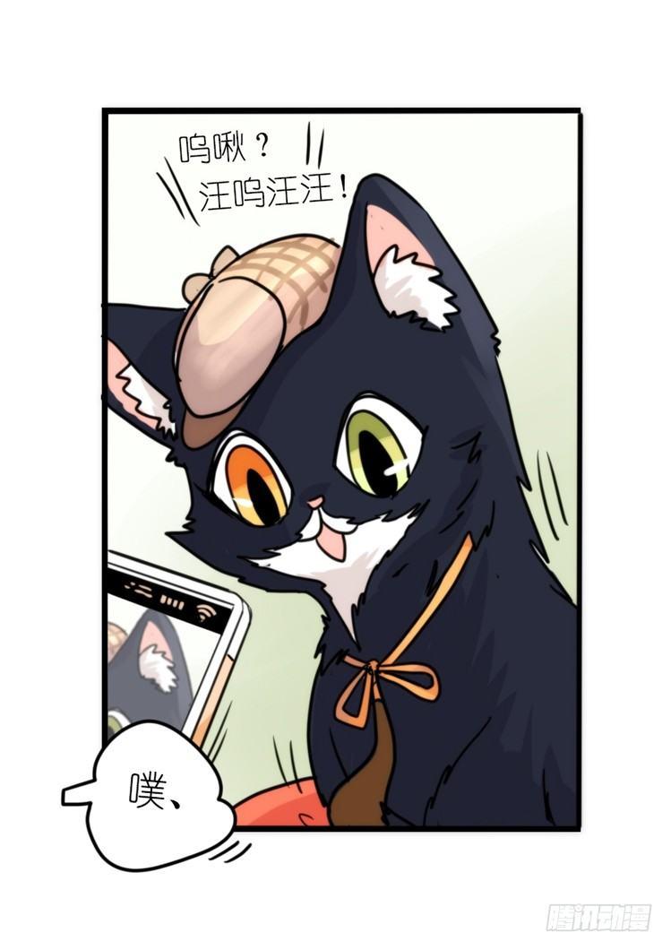 动协在行动02：鹅也有猫了！-第95话