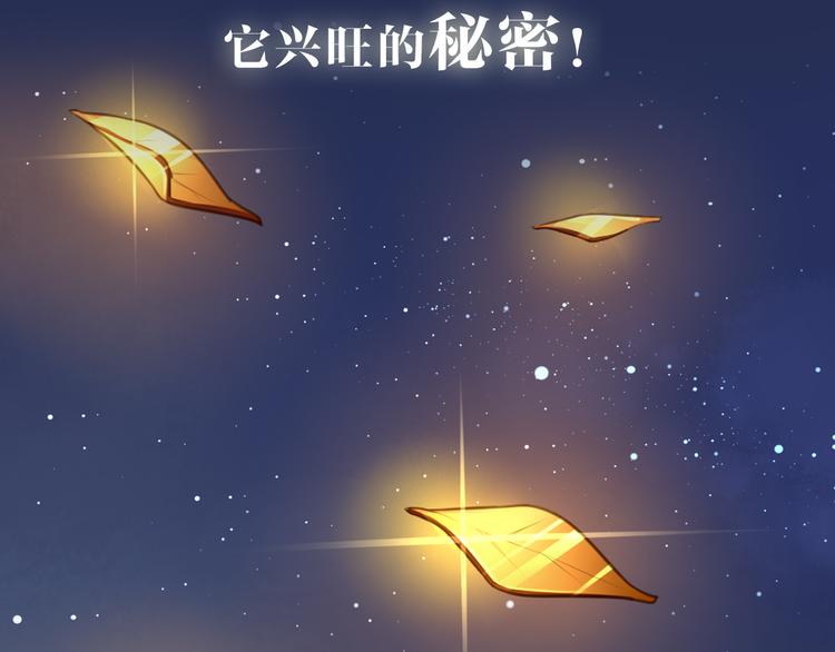 序章  锦鲤归-第1话