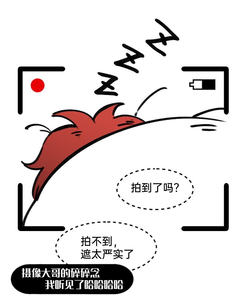 39 这能播吗-第39话