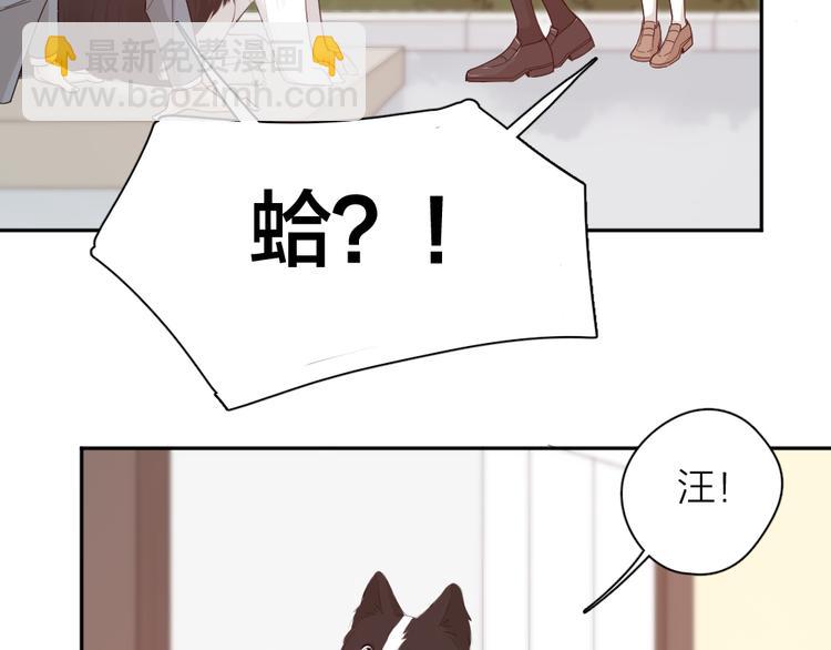 第73话 成为朋友的原因！(1/3)-第77话