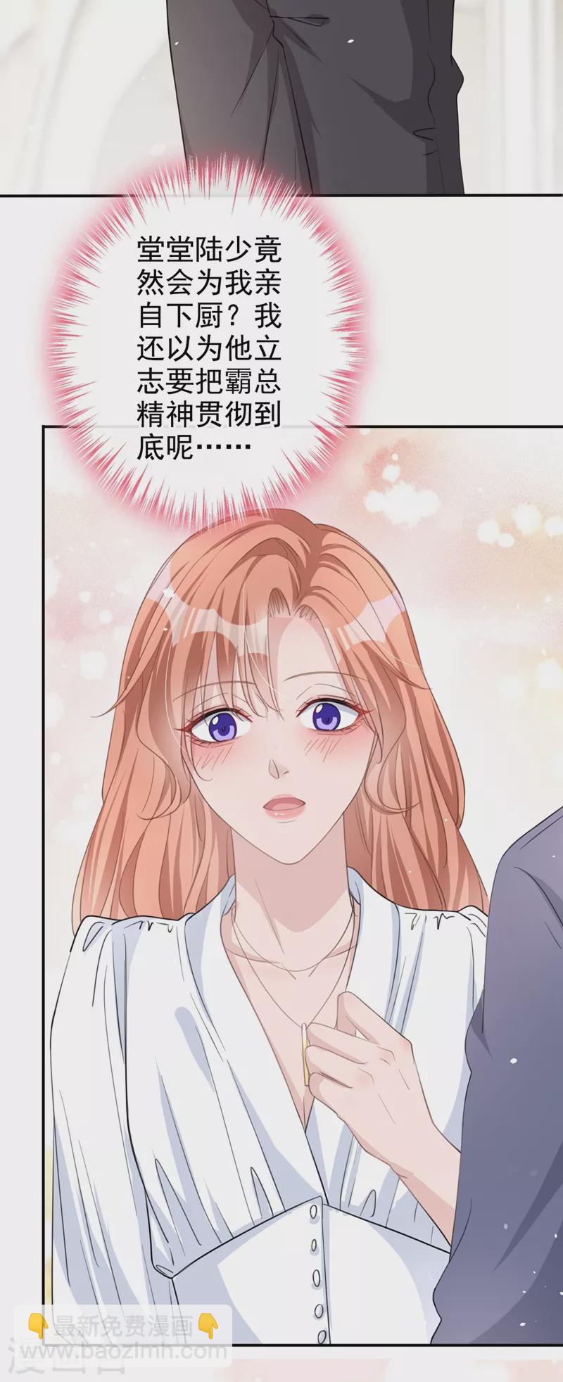 第30话 她是陆励阳的母亲？(1/2)-第31话