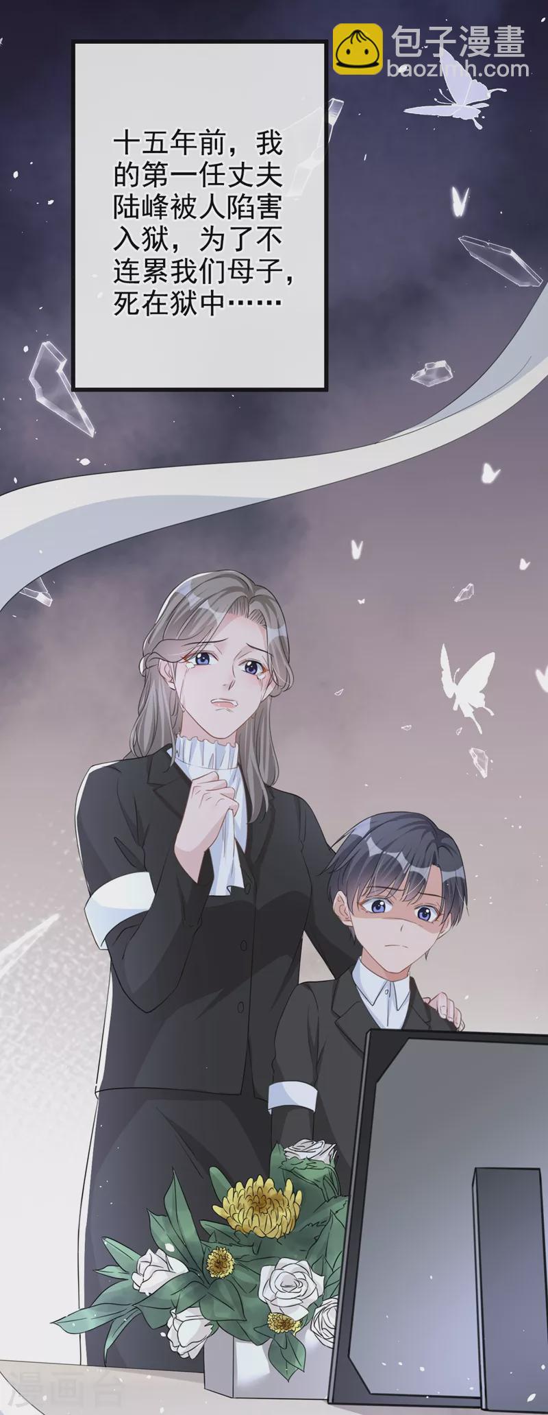 第30话 她是陆励阳的母亲？(1/2)-第31话