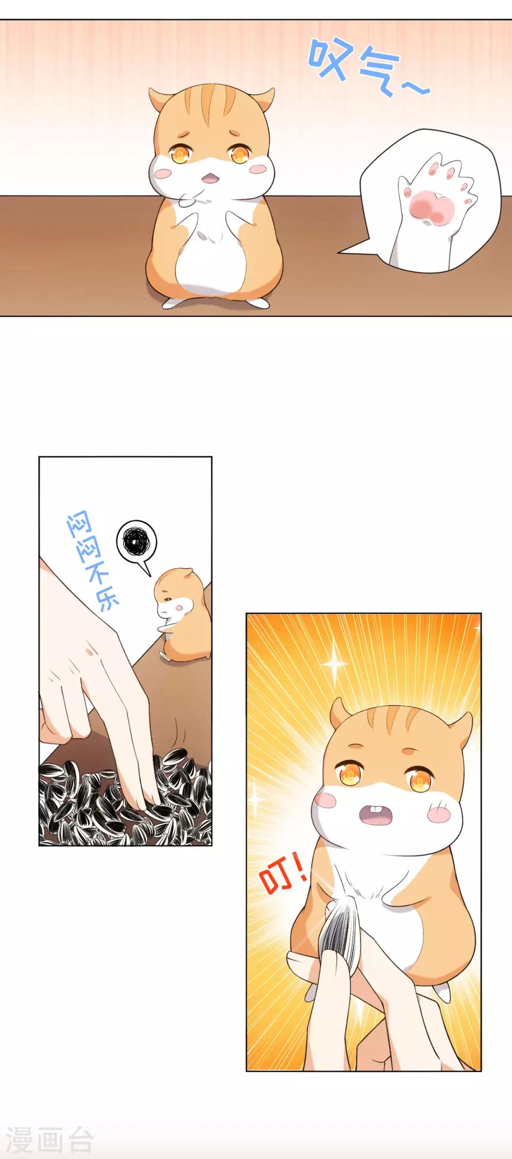 第34话 我怎么成了老鼠QAQ-第37话