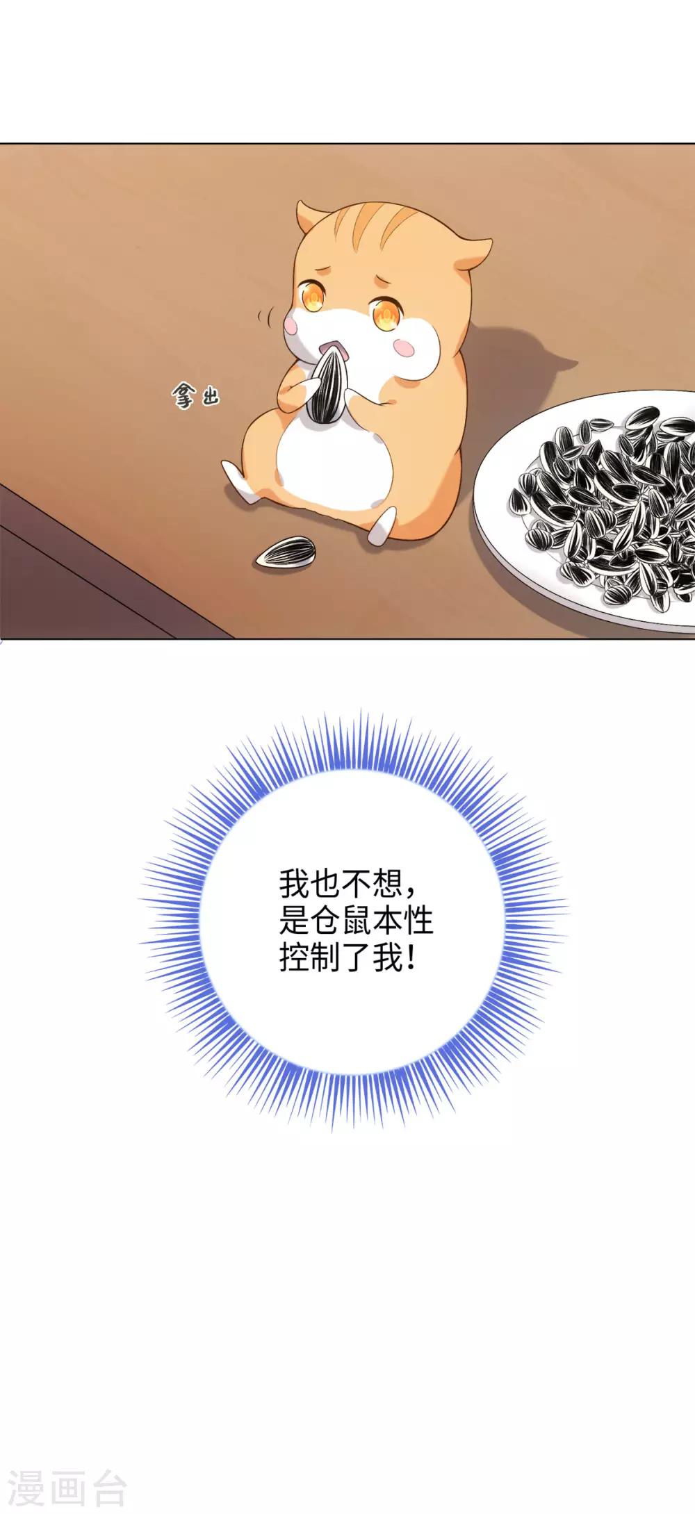 第34话 我怎么成了老鼠QAQ-第37话