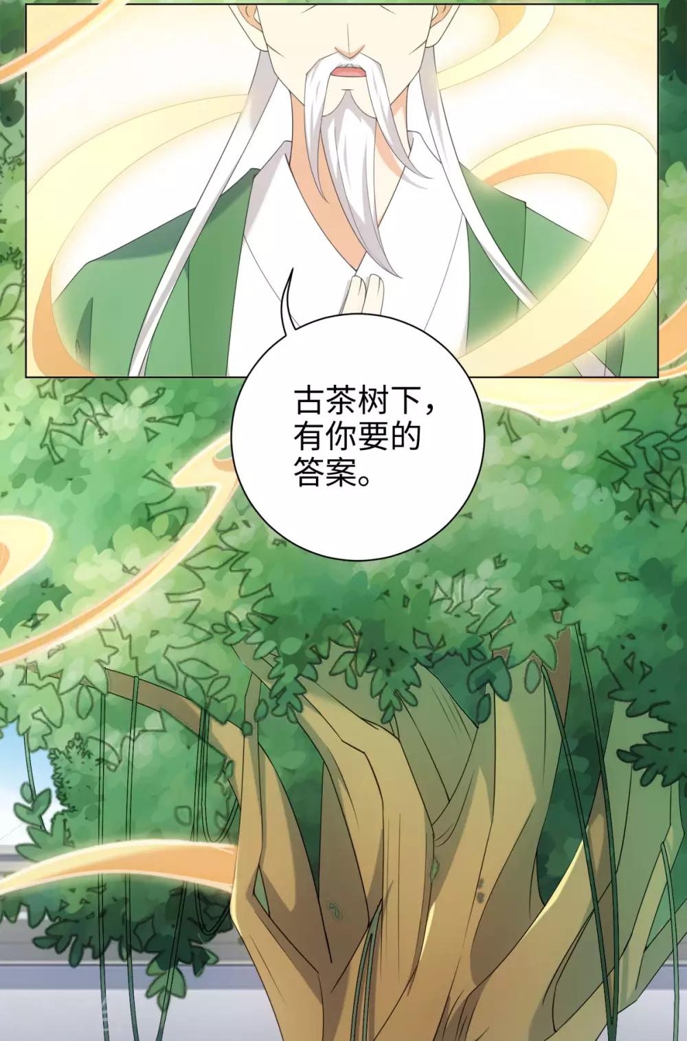 第59话 古茶树下有你要的答案-第63话