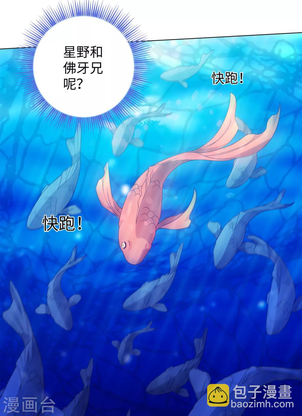 第74话 难伺候的鱼大爷-第79话