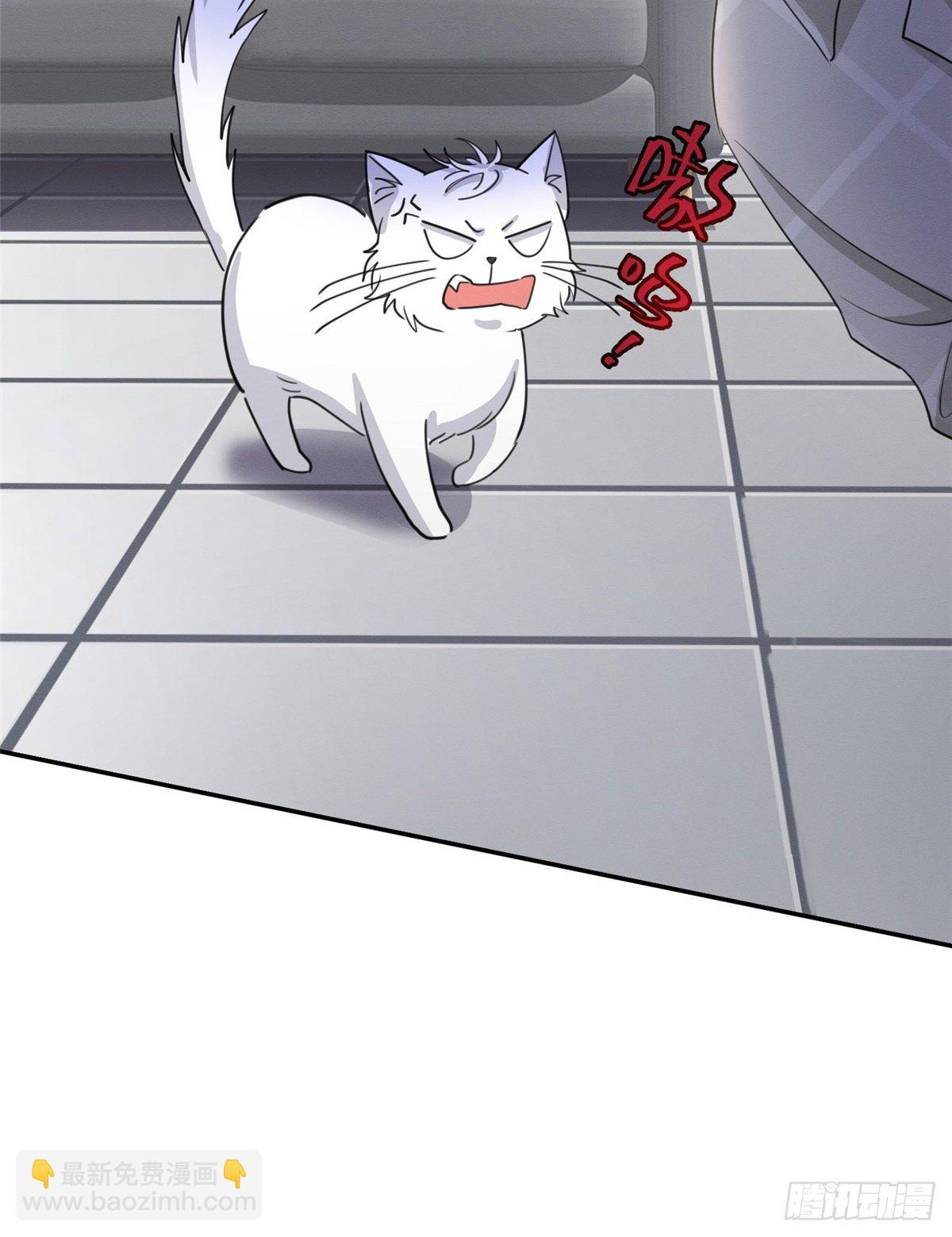 第15话 秘密(1/2)-第15话