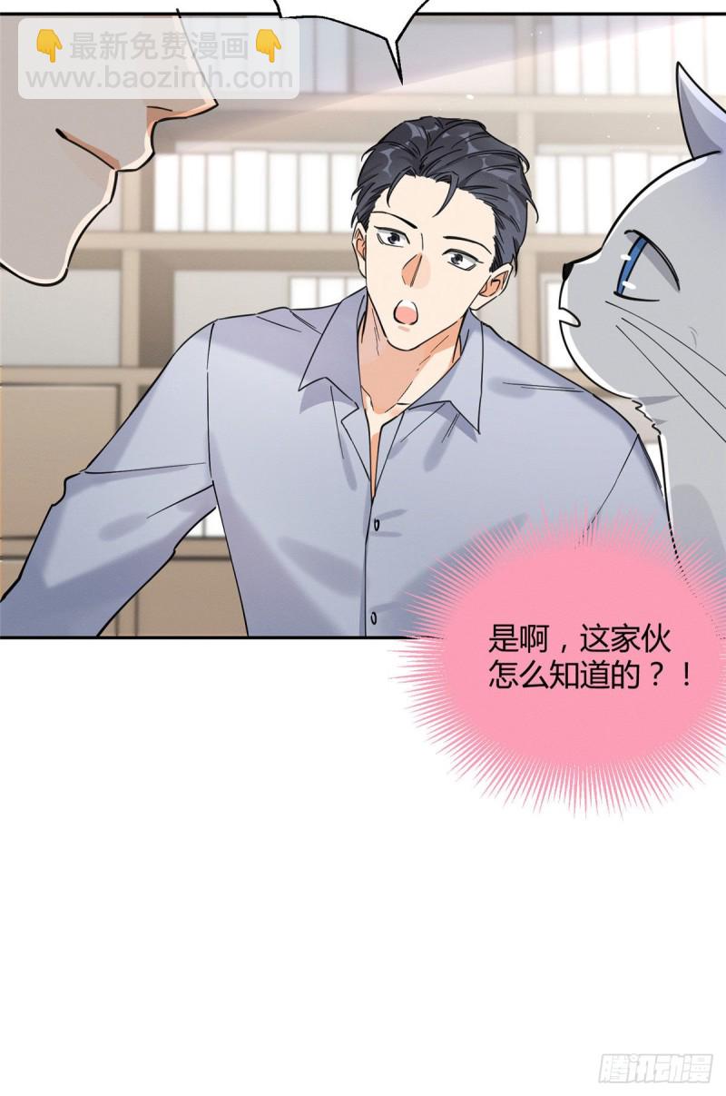 第19话 营业！-第19话
