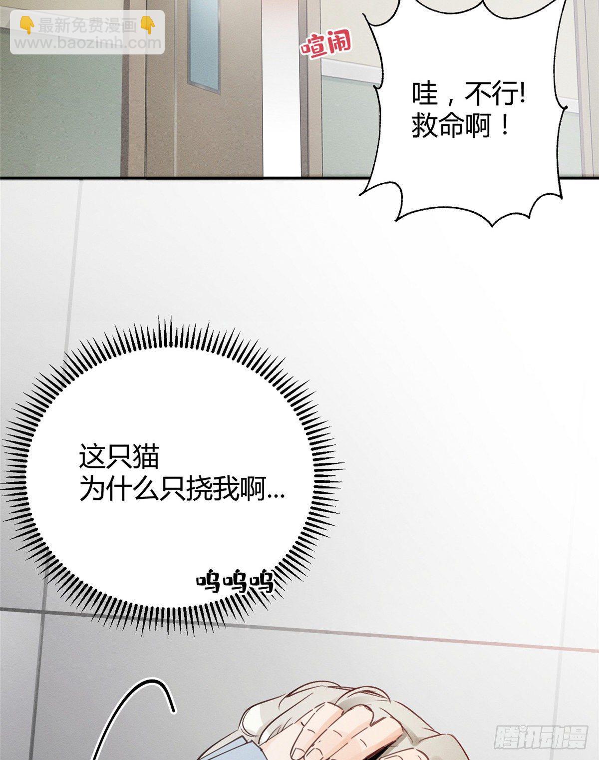 第3话 处理掉吧！(1/2)-第3话