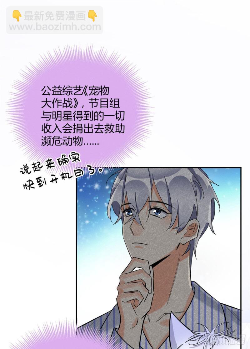 第31话 为了裴裴，接了！-第31话