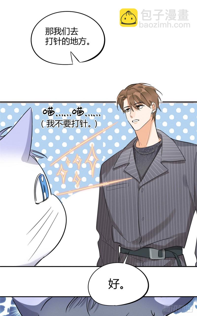 第35话 猫猫病啦-第35话