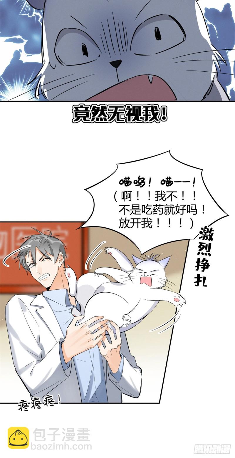 第35话 猫猫病啦-第35话