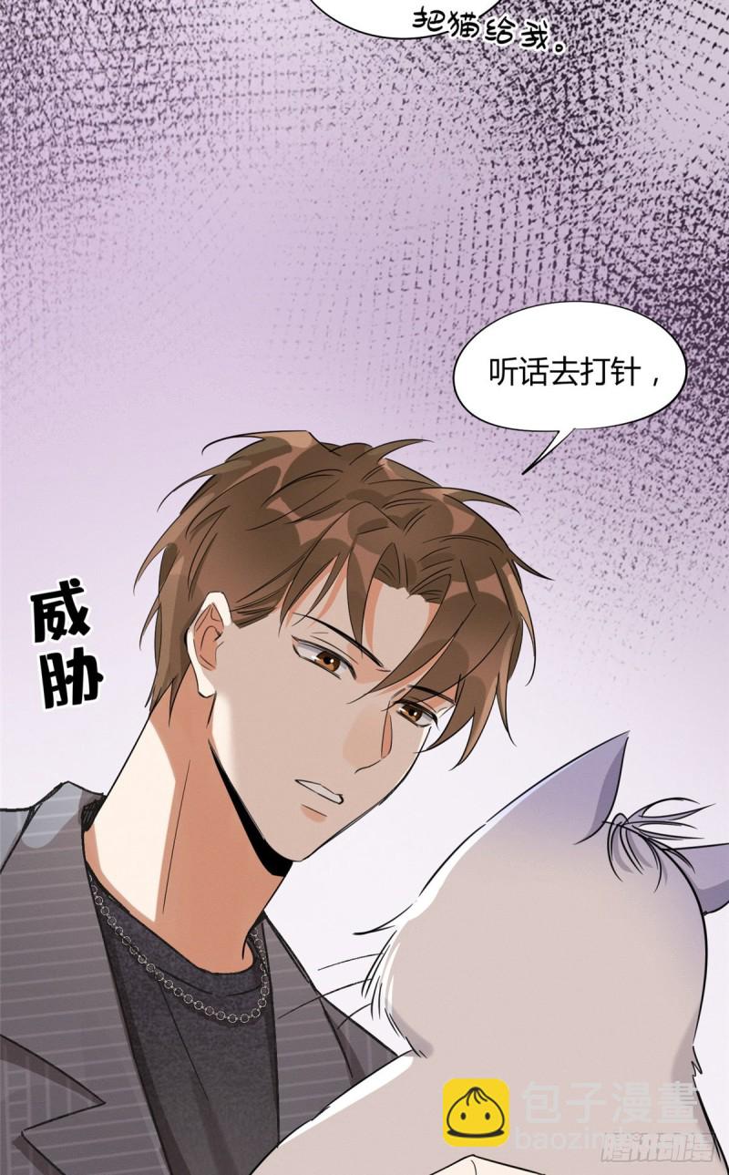 第35话 猫猫病啦-第35话