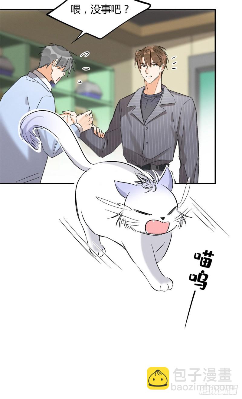 第35话 猫猫病啦-第35话