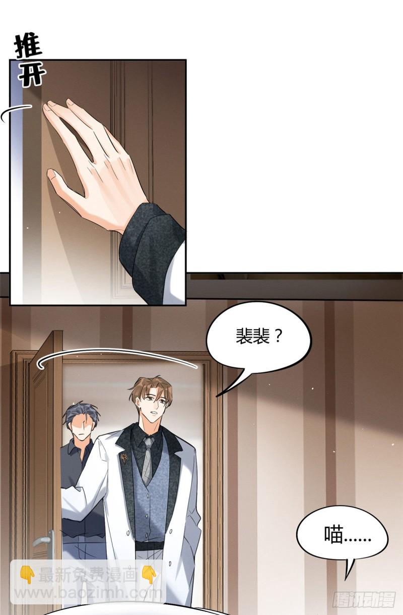 第35话 猫猫病啦-第35话