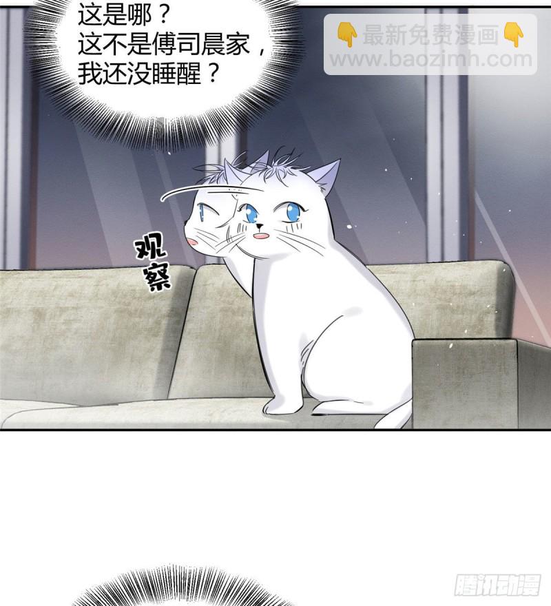 第37话 你就是裴臻-第37话