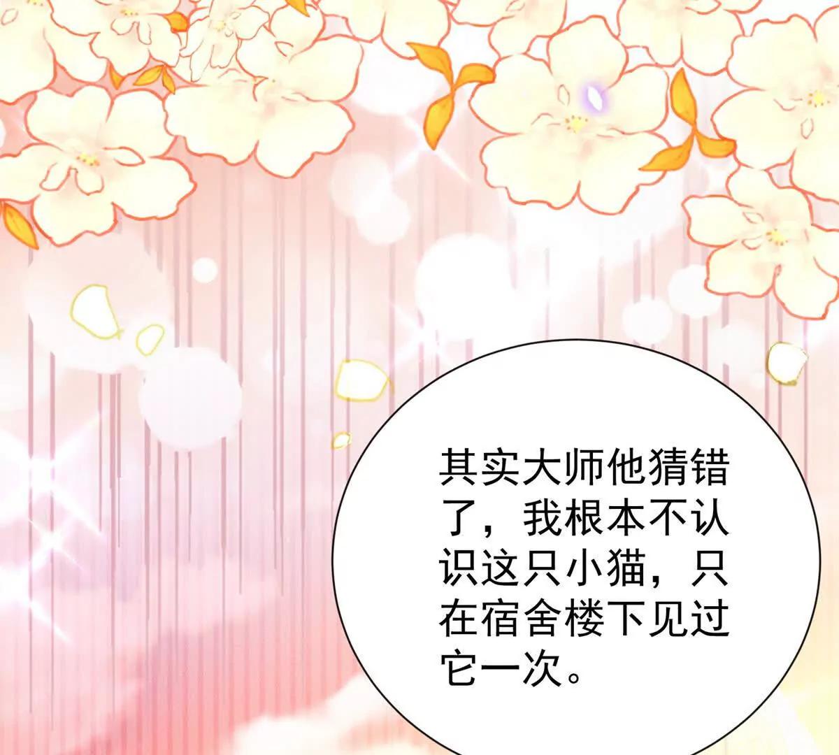 第14话 寻找肖白花(1/3)-第15话