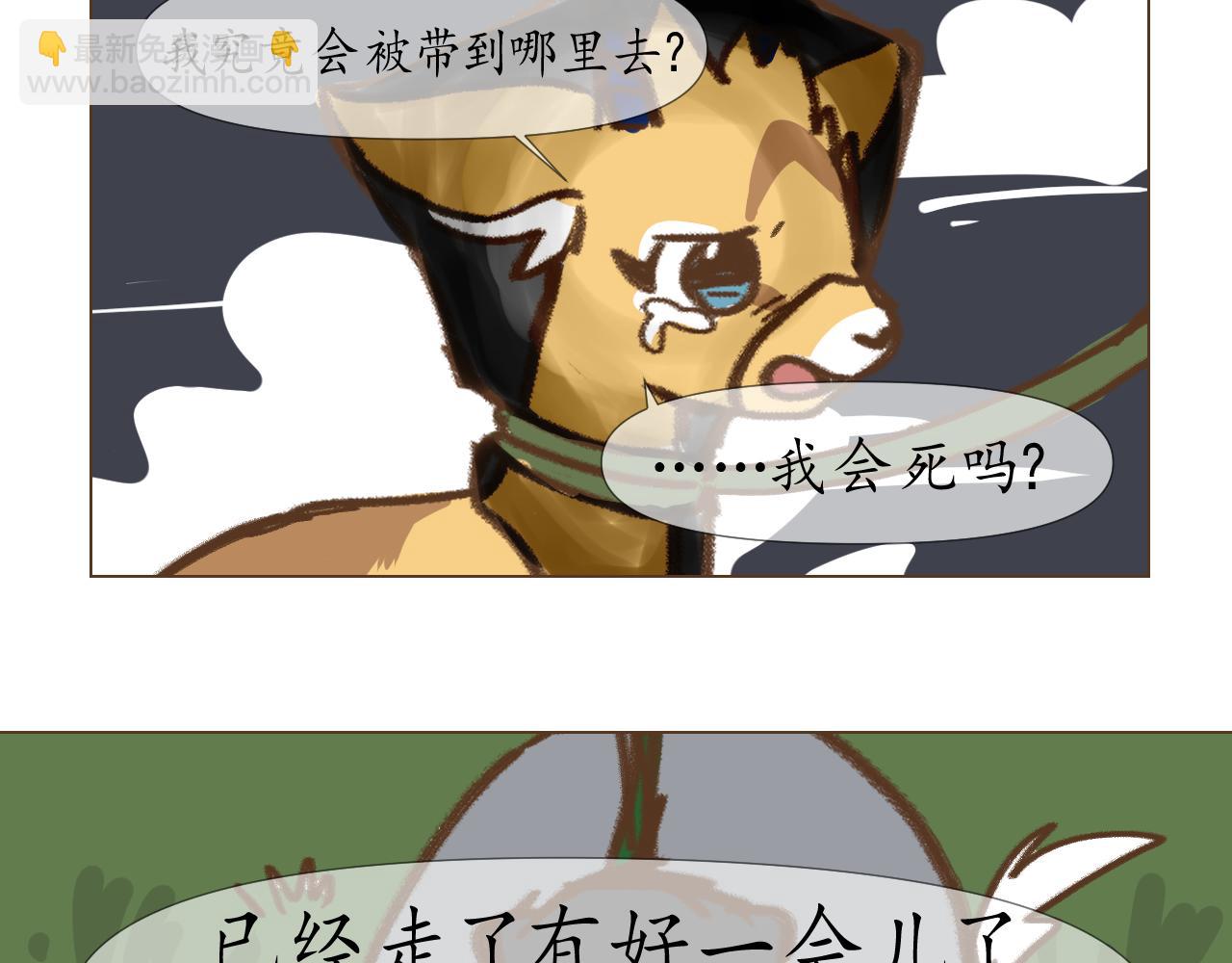 17-第17话