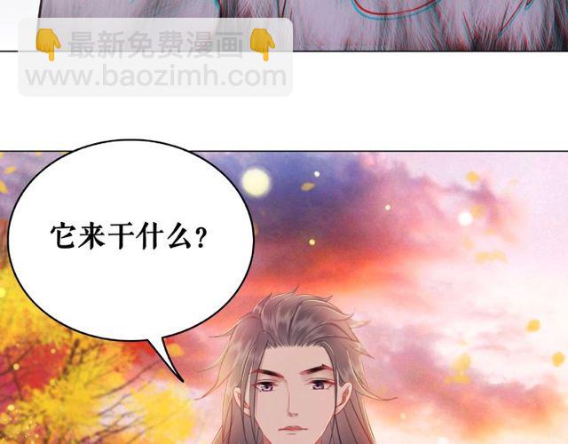 第42话 谁动了九儿？(1/2)-第43话