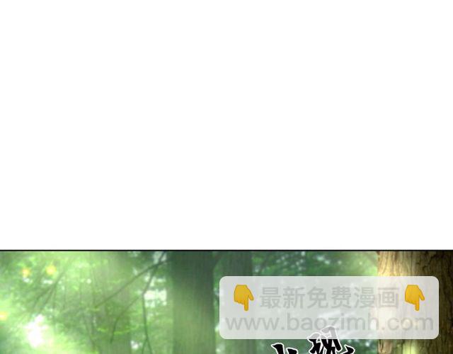 第66话 本小姐可不会同情弱者(1/3)-第67话