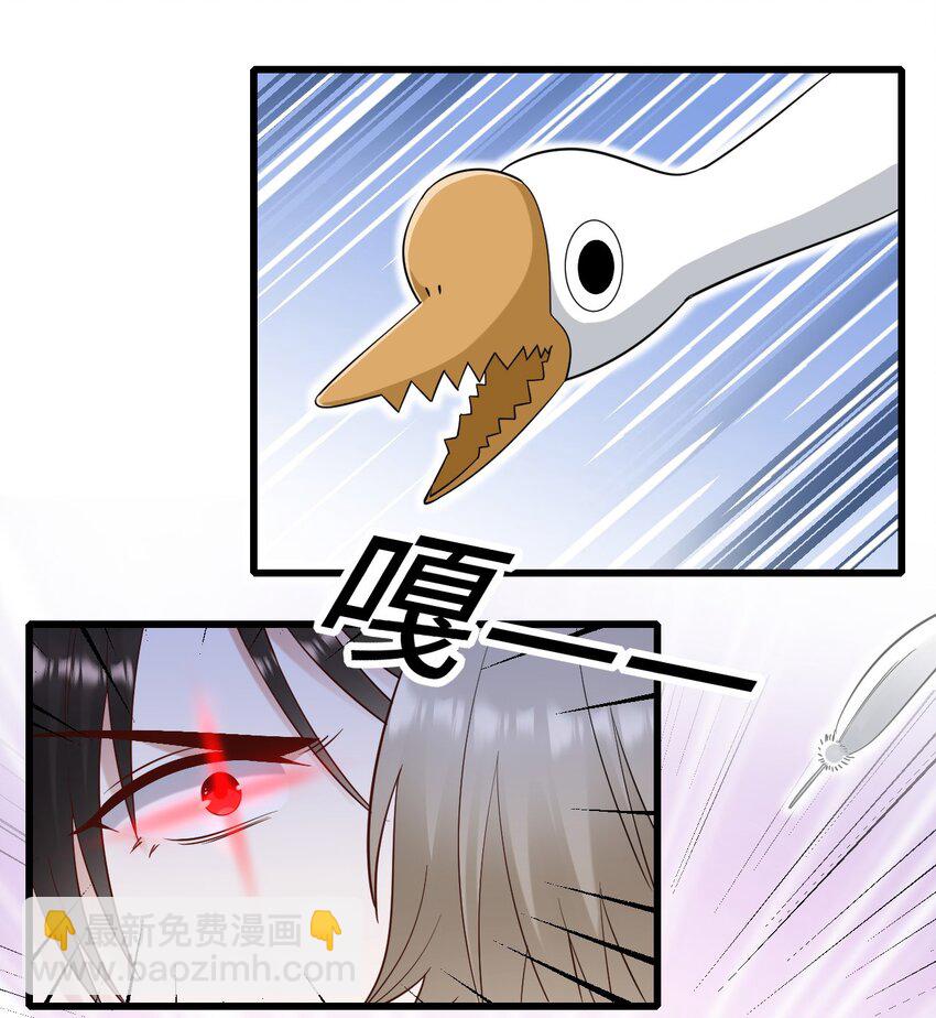 062 综艺体质-第63话