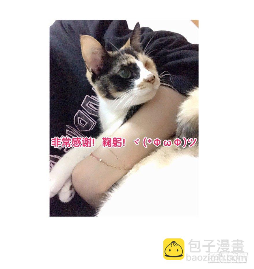 开门有惊喜！-第35话