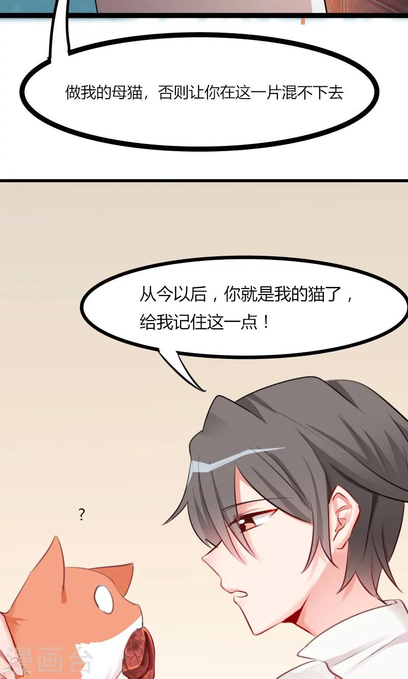 预告-第1话